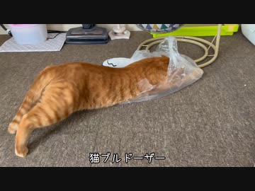 猫「ロードローラーだッ！（ズザー」