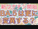 BA.5対応ワクチンはどこまで有効？