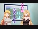 【ソフトウェアトーク劇場】ウチの妹は学習しない