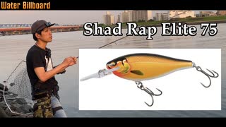 【Rapala ラパラ】シャッドラップ エリートを買ってきたので色々比較してみた。Vol.2【シーバス釣り】【ボーマー へドン】【シーバス】【旧江戸川】