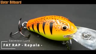 【Rapala ラパラ】一軍ルアーのファットラップを旧江戸川でスイムチェックしてきた【ボーマー へドン】【シーバス釣り】【シーバス】【旧江戸川】【水中映像】