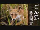 【朗読】『ごん狐』新美南吉 Nankichi Niimi  [Read Aloud] Japanese literature 朗読：森川弘一