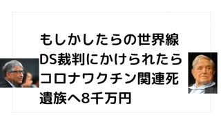 もしかしたらの世界線 DS裁判にかけられたら コロナワクチン関連死 遺族へ8千万円