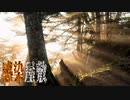 ナニカに感染したす～んげぇ暗い屋敷『THE MADHOUSE | 感染屋敷』終