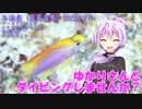【与論(鹿児島県)】ゆかりさんとダイビングしませんか？