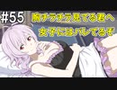 【SAOFB】VRMMO＝ヴァーチャルリアリティ萌え萌えオンライン#55【ソードアートオンラインフェイタルバレット】