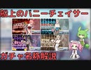 【ブルアカ】船上のバニーチェイサー ガチャ名称解説 (VOICEVOX)