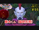【DRAGON QUEST Ⅺ】人生初のドラクエを全部しばってプレイするPart55【協力実況】