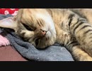 コタツを起動しましたが…