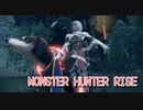 【MONSTER HUNTER RISE】ガンス厨のモンスターハンター。古のぼっちハンターが初見で遊んでいくよ！【Part20 特別許可試験・其の一】