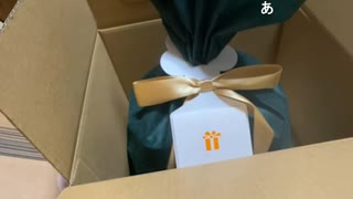 【関西ちゃん】ちゃんとこんなヤツに入れてくれてるぅ～！　やっぱり贈ってくれた人、あの人でしたねぇ～！！！