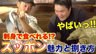 【トミックに学ぶ!!】生きたスッポンの正しい捌き方！！