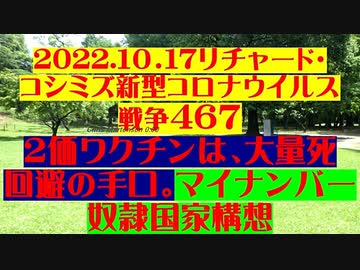 【2022年10月17日：リチャード・コシミズ Internet 講演 （ ニコニコ生放送 ）（ 改良版 ）】