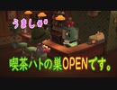 【あつまれどうぶつの森】のんびり オシアシスフニ島 生活９９日目