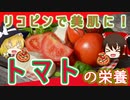 【ゆっくり解説】トマトの栄養について解説！