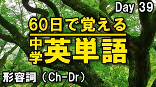 中学英単語を60日で覚えよう Day 39 【形容詞（Ch-Dr）】 - リスニングで覚える英単語