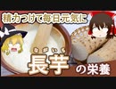【ゆっくり解説】長いもの栄養について解説！