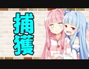 【ソフトウェアトーク劇場】カプチーノハウス・改 パート171【捕獲】