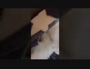 overdose君とふたり□□