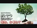 ほそめが/#114「ハゲ指摘RTA、よーいスタート」【ほそめとめがねの「箸にも棒にも掛からないラジオ」】