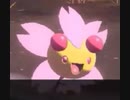 【実況】友人と同じポケモンを捕まえてはいけないアルセウス part25