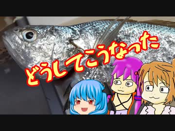 ボイロフィッシング動画を作りたかったものの残骸