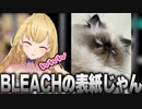 競馬そっちのけで愛猫のワトソン君を可愛がるミケ(鷹宮リオン)【にじさんじ切り抜き】