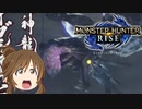 ホモンスターハンター　イマサライズ