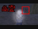 【ドラクエ10】ほんとにあった！呪いのDQX【幽霊】