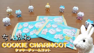 【ちいかわ】３袋買えばちいかわ・ハチワレ・うさぎ全部当たる説！！【COOKIE CHARMCOT】