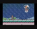 スーパーマリオアドバンス３　２０周年記念プレイ　５－１