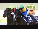 【中央競馬】プロ馬券師よっさんの第27回 秋華賞（GⅠ）