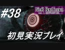 【ニーアレプリカント】感情移入の激しい人が頑張る実況#38【実況】