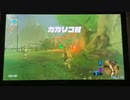【ゼルダの伝説 ブレスオブザワイルド】マスターモード　ノーデスノーコン縛りpart3