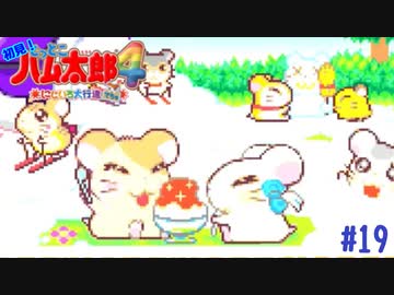 かき氷パーティ！！【ハム太郎4】＃19