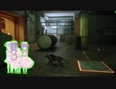 猫になったHSK姉貴.mp12