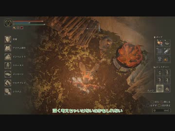 【刀剣乱舞】まんばがエルデの王を目指す21【偽実況】
