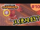 【マイクラダンジョンズ】#10 - 中難易度のカボチャ草原で見たものは＿＿(ムービーノーカット)