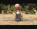 【FF14】シラディハ水道ソロ(機工士)　３ボス「シルキー」　２パターン解説付き【シルキー】