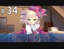 夜の世界の秘密　【時計仕掛けのレイライン  ー陽炎に彷徨う魔女ー 体験版 #34】