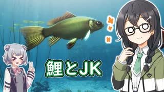 鯉を眺めながら小樽のJKが駄弁るやつ【My koi】