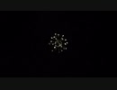 2022 （熊本）八代花火　紫陽花の咲く頃