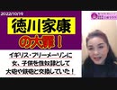 【工作員・徳川家康】の大罪が今も日本人を苦しめている！  #フリーメーソン #イルミナティ #朝鮮人
