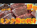 千葉旅行 千倉の土産 謎肉⁉︎【ミンククジラのステーキ】【クジラの刺身】館山観光