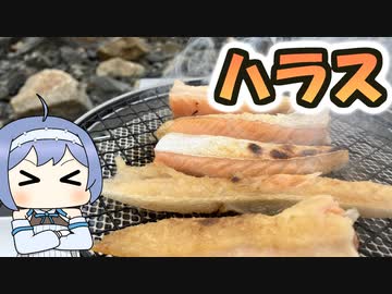 【野外料理祭】焼鮭ハラス定食【つづみの何処でもキッチン】