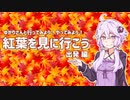 ゆかりさんと行ってみよう！やってみよう!【紅葉を見に行こう 出発編 】