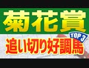 【菊花賞2022予想】追い切り・調教が高評価だった3頭