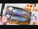 手漕ぎボートで釣りに行こう　第7回