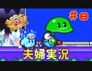 【夫婦実況】やっぱRPGはいいよね【星のカービィSDX】＃８