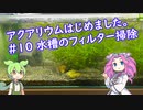 アクアリウムはじめました。  #10 水槽のフィルター掃除
